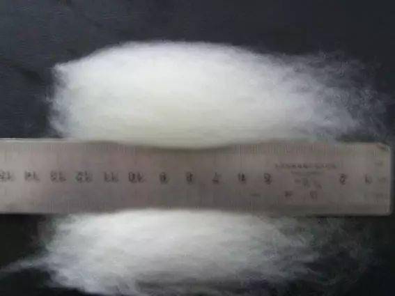 化纖世界入門 認(rèn)識(shí)衣物背后的化學(xué)纖維基本概念與代號(hào)